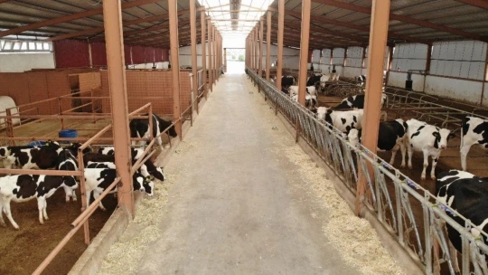 3 çocuk annesinin bahçesi bile yoktu, şimdi devlet desteği ile çiftliği var
