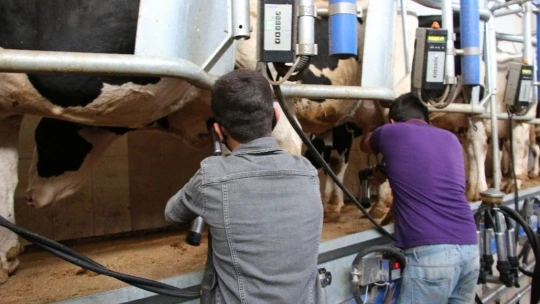 3 çocuk annesinin bahçesi bile yoktu, şimdi devlet desteği ile çiftliği var