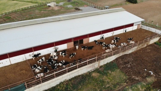 3 çocuk annesinin bahçesi bile yoktu, şimdi devlet desteği ile çiftliği var