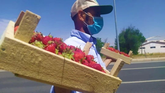 48 yıldır meşhur 'Kuyulu' çileğini yol kenarında satıyor