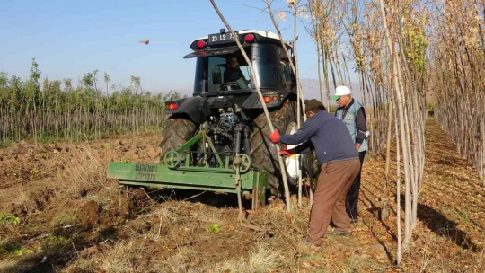 8 ilde 12 milyon fidan toprakla buluşacak