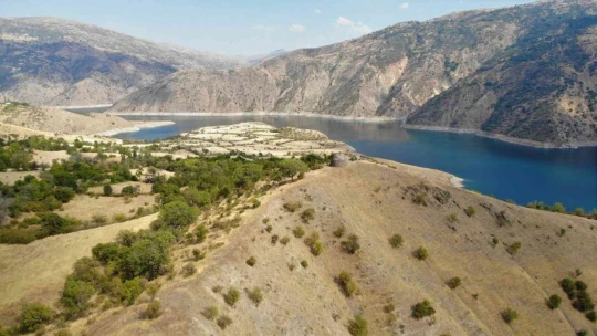 Sivrice'de Bulunan 800 Yıllık Kümbet Zamana Direniyor