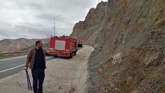 Keban'da İtfaiye Ekipleri Koruma Ağında Mahsur Kalan Köpeği Kurtardı