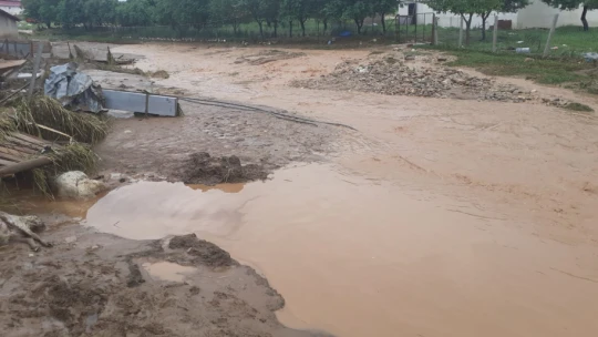 Elazığ'da Sele Kapılan 103 Küçükbaş Hayvan İle 2 Eşek Telef Oldu