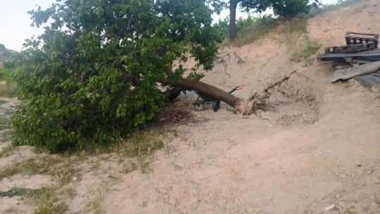 Keban'da Fırtına Etkili Oldu, Ağaçlar Kökünden Söküldü !