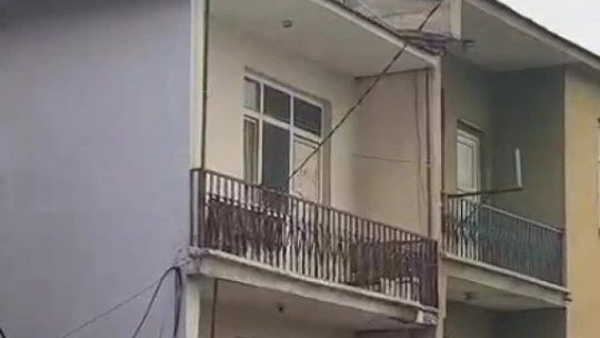 Karakoçan'da Binanın Çatısında Mahsur Kalan Köpeği, İtfaiye Kurtardı