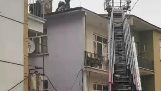 Karakoçan'da Binanın Çatısında Mahsur Kalan Köpeği, İtfaiye Kurtardı