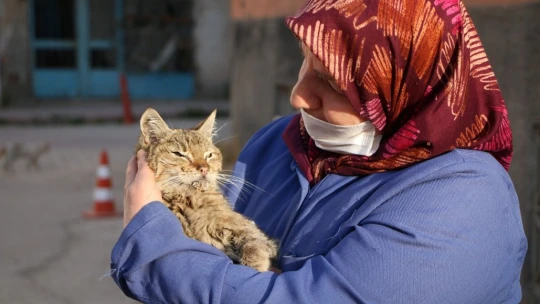 Çocukları vefat eden Fatma teyze, 35 kediye anne şefkatiyle bakıyor
