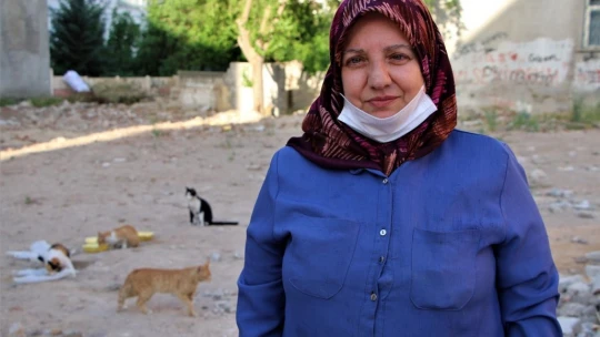 Çocukları vefat eden Fatma teyze, 35 kediye anne şefkatiyle bakıyor