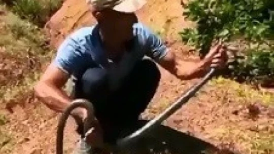 Dağda bulduğu 3 metrelik yılanı önce sevdi, sonra tekrar doğaya bıraktı