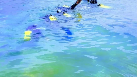 Dalgıçlar baraj gölüne daldı, tekerlekten halata kadar birçok atık çıkardı