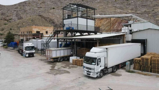 Denizi olmayan Elazığ balık ihracatından 29 milyon dolar gelir elde etti, hedef 50 milyon dolar