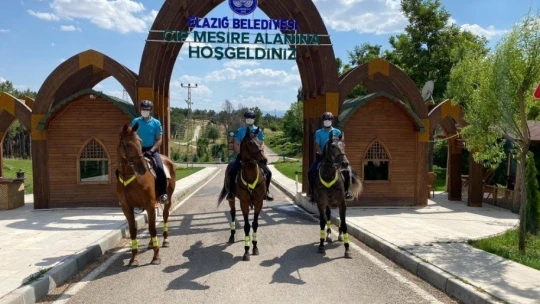 Deprem bölgesi Elazığ'da, atlı jandarmalar moral görevine başladı