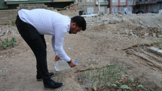 Depremde hasar alıp yıkılan binanın yeri bahçe oldu