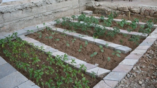 Depremde hasar alıp yıkılan binanın yeri bahçe oldu