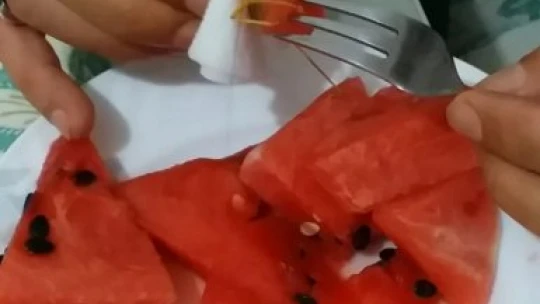 Dev çekirgeye karpuz yedirdi