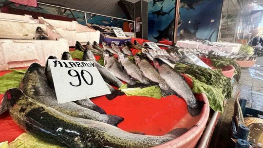 Dinozorlar döneminden günümüze gelen bu balığın havyarı 2 milyon lira