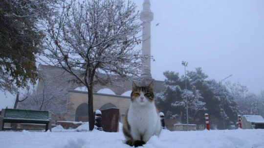 Elazığ'a mevsimin ilk karı yağdı, Harput'ta kartpostallık görüntüler oluştu