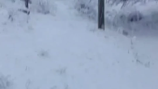 Elazığ Baskil'de kar yağışı etkili oldu