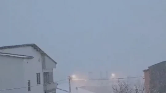 Elazığ Baskil'de kar yağışı etkili oldu