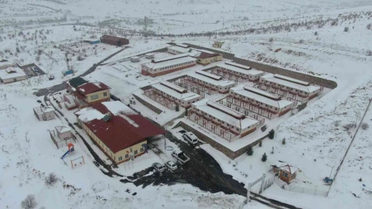 Elazığ Belediyesi Hayvan Hastanesi Ve Bakım Evinde 5 Binin Üzerinde Hayvan Tedavi Edildi