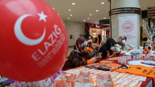 Elazığ'da 'Kadına Şiddete Hayır' etkinliği
