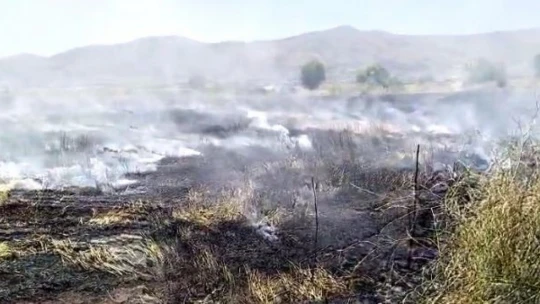 Elazığ'da 10 dönüm tarım arazisi yandı
