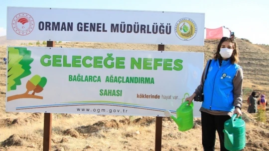 Elazığ'da 15 bin fidan toprakla buluştu