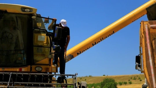 Elazığ'da 600 dönüme arpa eken başkan, hasada başladı