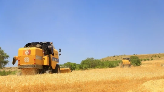 Elazığ'da 600 dönüme arpa eken başkan, hasada başladı
