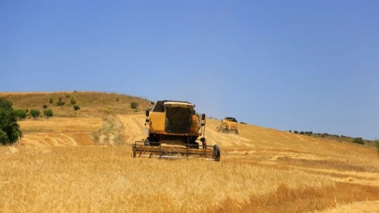 Elazığ'da 600 dönüme arpa eken başkan, hasada başladı
