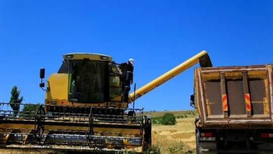 Elazığ'da 600 dönüme arpa eken başkan, hasada başladı