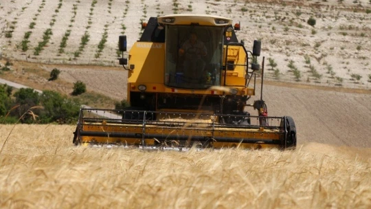 Elazığ'da 600 dönüme arpa eken başkan, hasada başladı