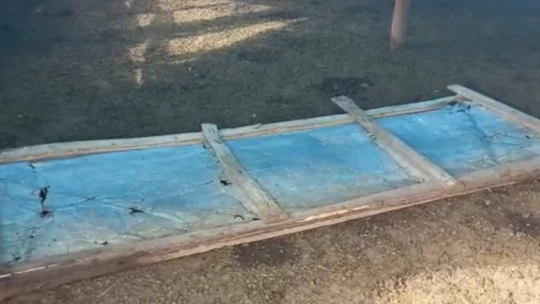 Karakoçan'da Ağıla Giren Kurtlar, 53 Koyunu Telef Etti