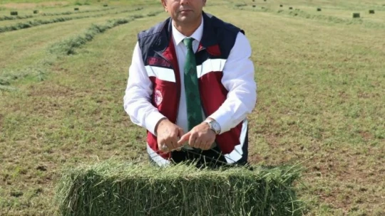 Elazığ'da balyalama mesaisi başladı