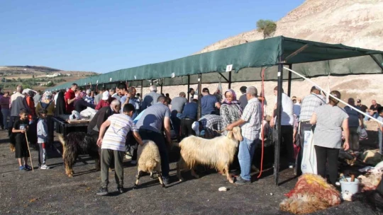 Elazığ'da bayram namazından çıkan vatandaşlar, kurbanlarını kesti
