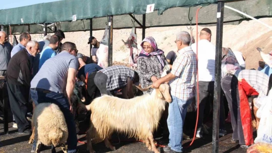 Elazığ'da bayram namazından çıkan vatandaşlar, kurbanlarını kesti