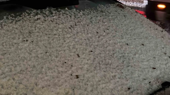 Elazığ'da dolu ve sağanak hayatı felç etti