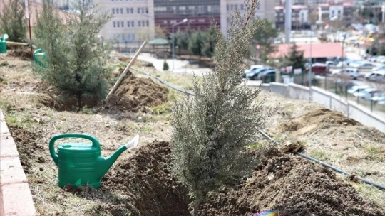 Elazığ'da fidanlar şehit Osman Paşa ve silah arkadaşları için toprakla buluşturuldu