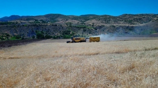Elazığ'da hasat devam ediyor, biçerdöverlerde denetleniyor