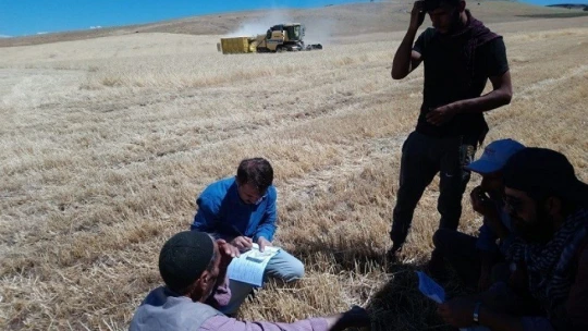 Elazığ'da hasat devam ediyor, biçerdöverlerde denetleniyor