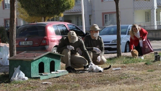 Elazığ'da hayvanları koruma polisi, kısıtlamada sokak hayvanlarını besledi