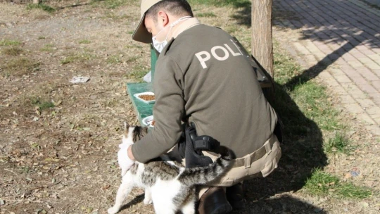 Elazığ'da hayvanları koruma polisi, kısıtlamada sokak hayvanlarını besledi