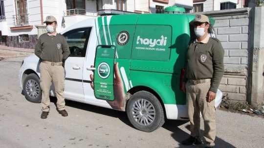 Elazığ'da hayvanları koruma polisi, kısıtlamada sokak hayvanlarını besledi