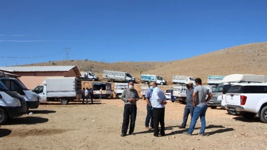 Elazığ'da hibe destekli 500 koç kura ile sahibini buldu