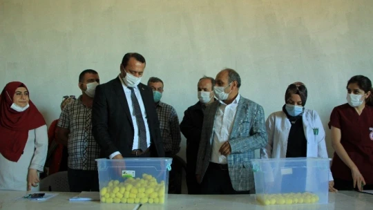 Elazığ'da hibe destekli 500 koç kura ile sahibini buldu