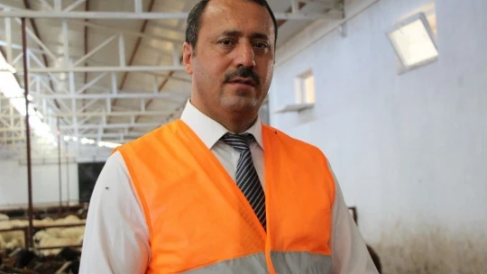 Elazığ'da hibe destekli 500 koç kura ile sahibini buldu