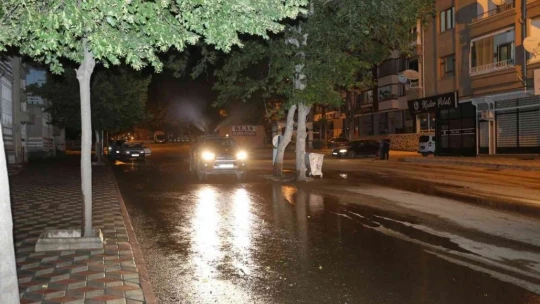 Elazığ'da ilaçlama çalışmaları sürüyor