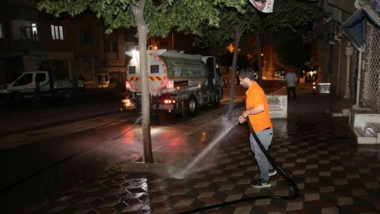 Elazığ'da ilaçlama çalışmaları sürüyor