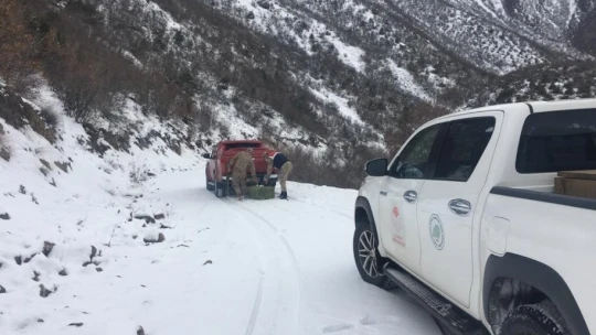 Elazığ'da jandarma, yaban hayatı için doğaya yem bıraktı
